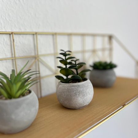 温特贝格Auszeit Bergliebe公寓 外观 照片